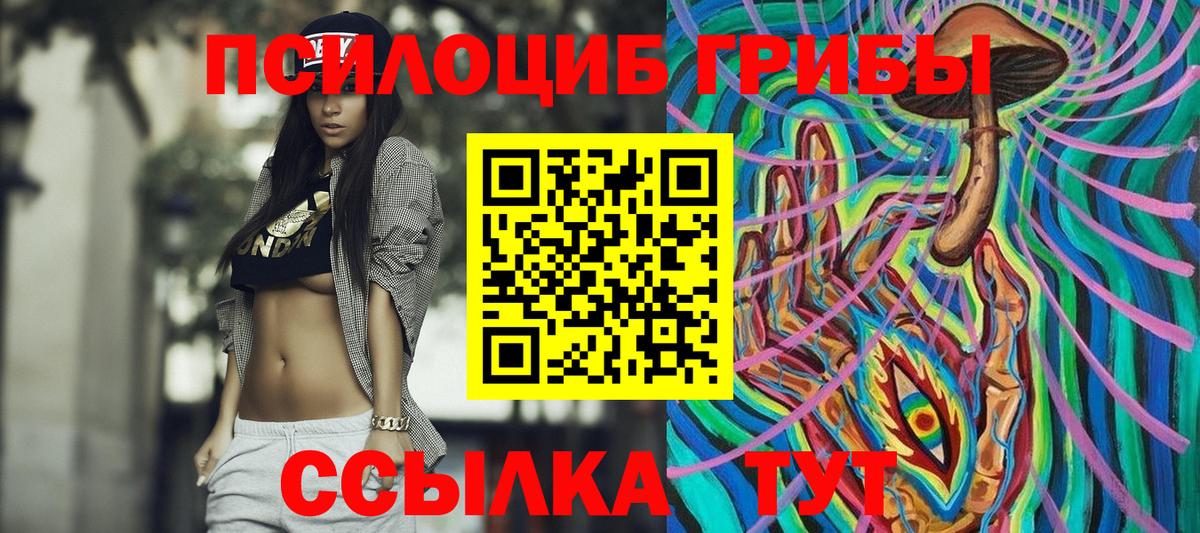 Мыски  Псилоцибиновые грибы мицелий  Вход с VPN 